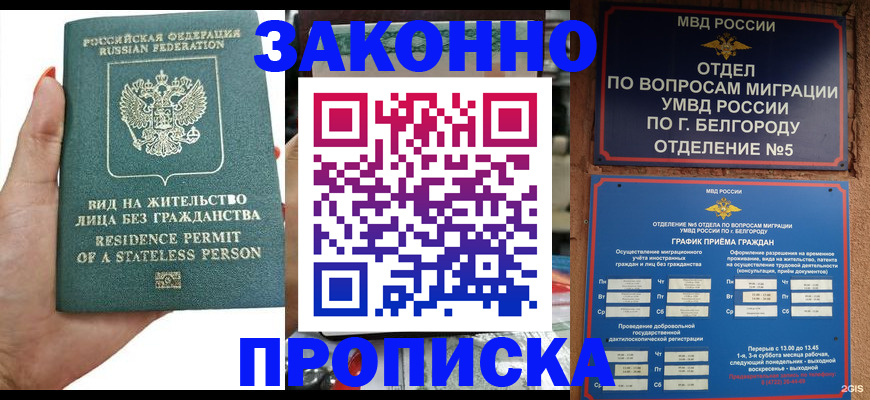 прописка для кредита в Мытищах